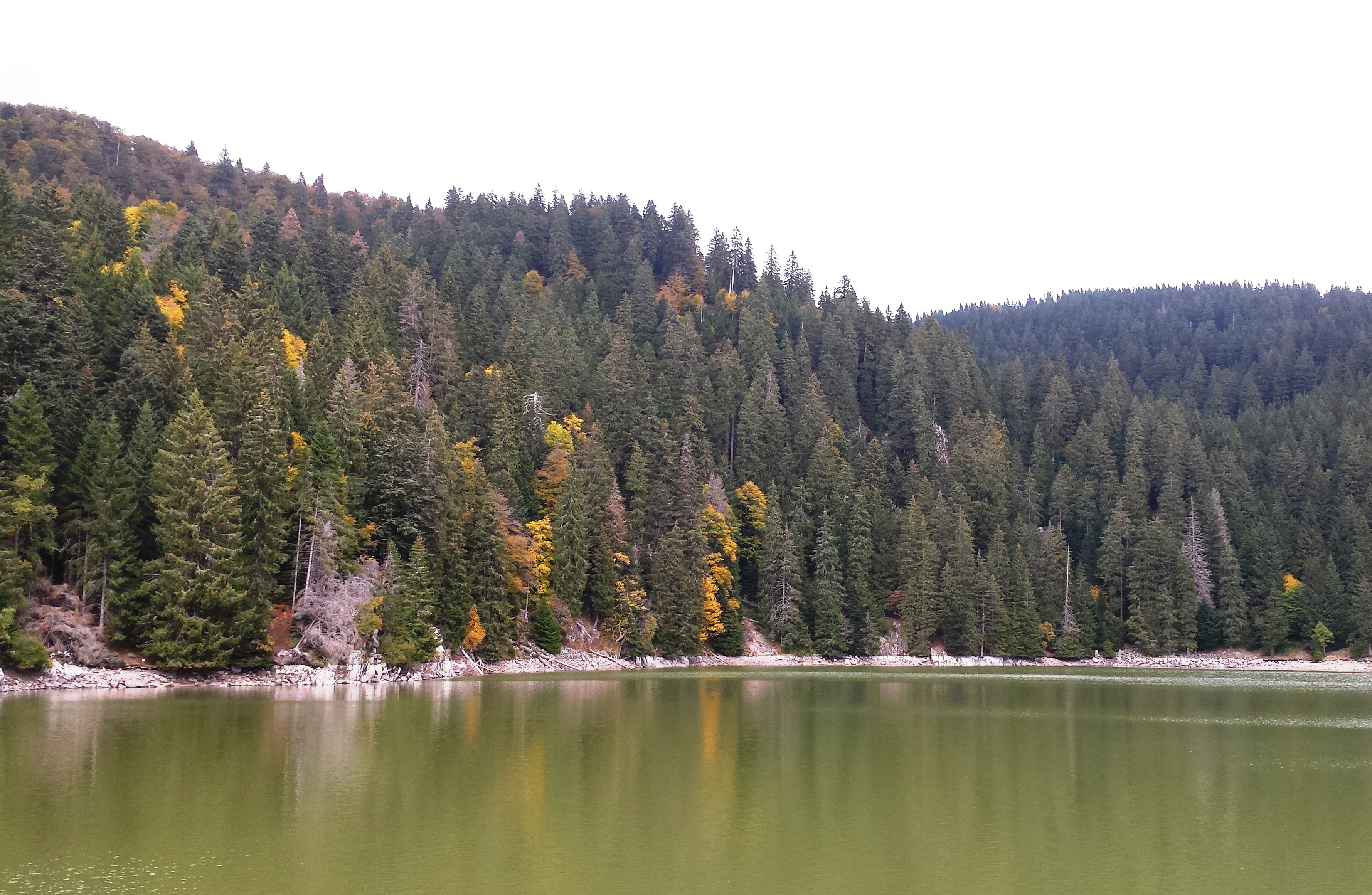 Spätherbstlich beeindruckend zeigt sich die Natur, wie hier am Lac Vert, in den Südvogesen.