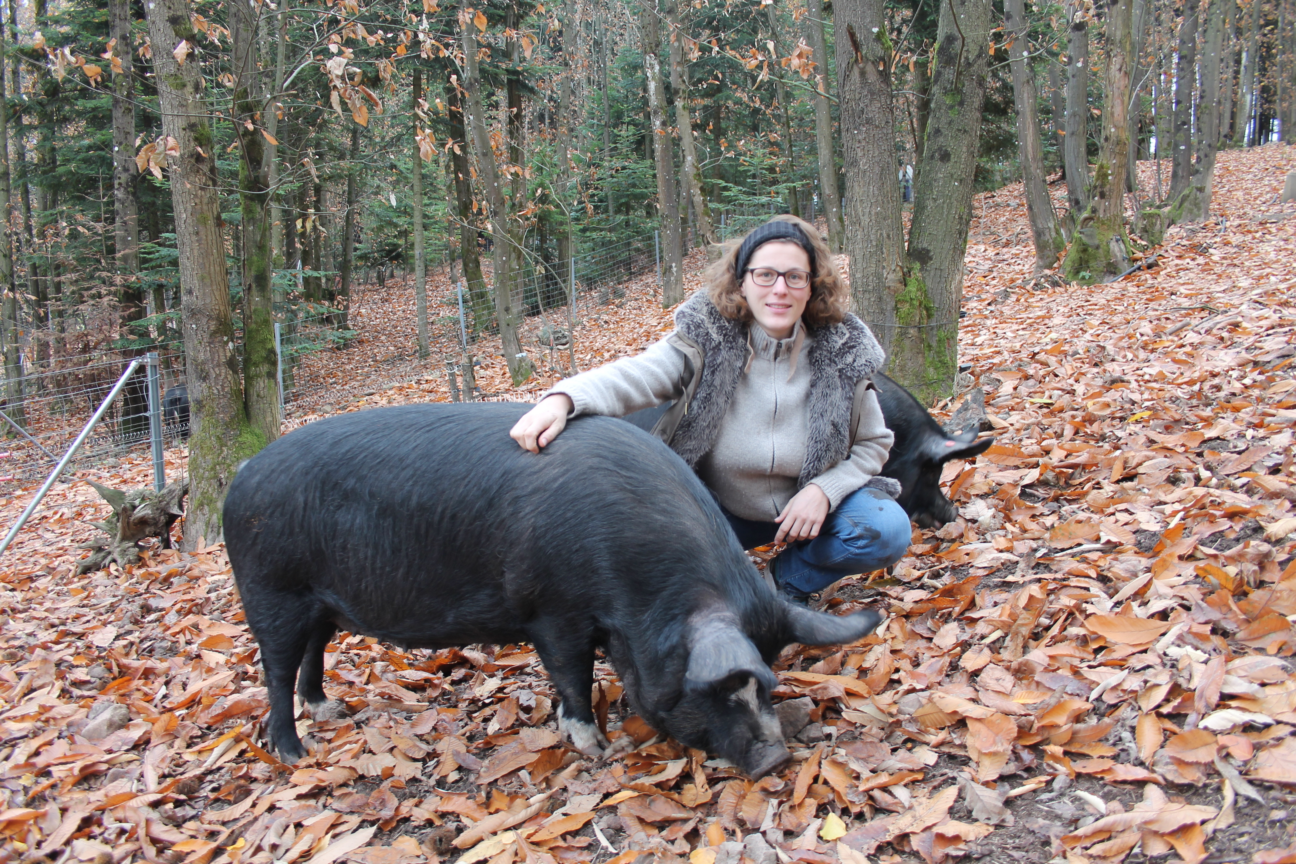 Schweinezüchterin Judith Wohlfarth hätte bei einem Ausbruch mehrere Maßnahmen parat, um ihre Tiere zu schützen.