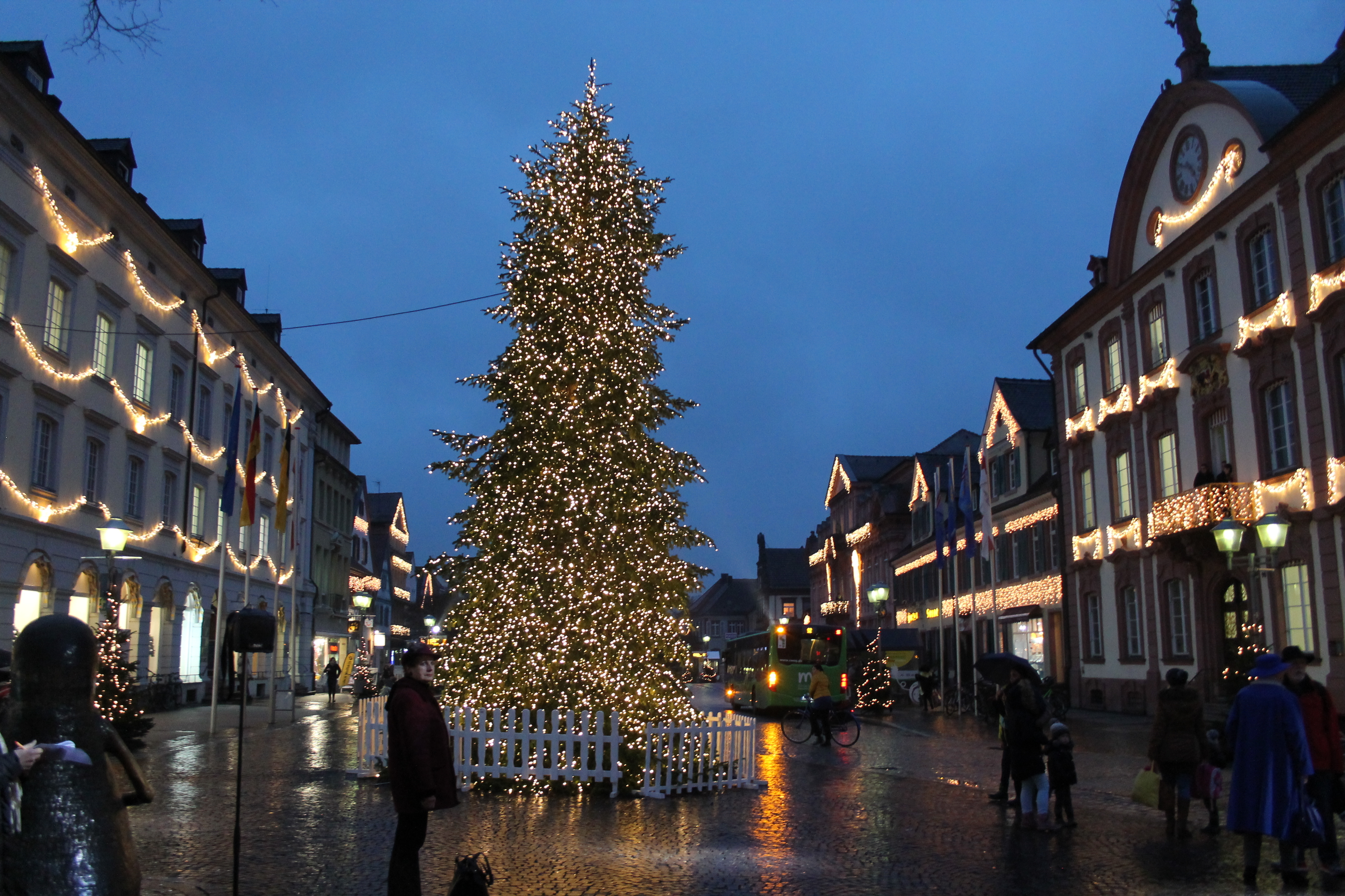 Erstmals erstrahlte der Weihnachtsbaum vor dem Offenburger Rathaus am Dienstagabend in seinem Glanz.