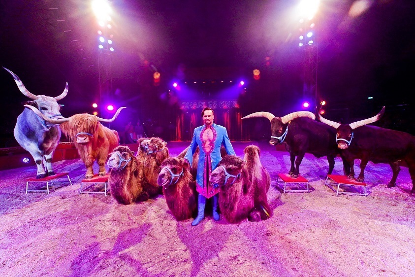 Marek Jama präsentiert seine Exotendressur im Offenburger Weihnachtscircus.