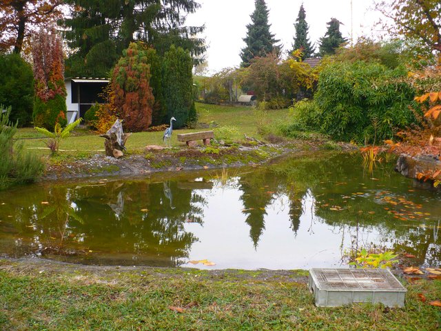 Foto: Vogelfreunde Kehl