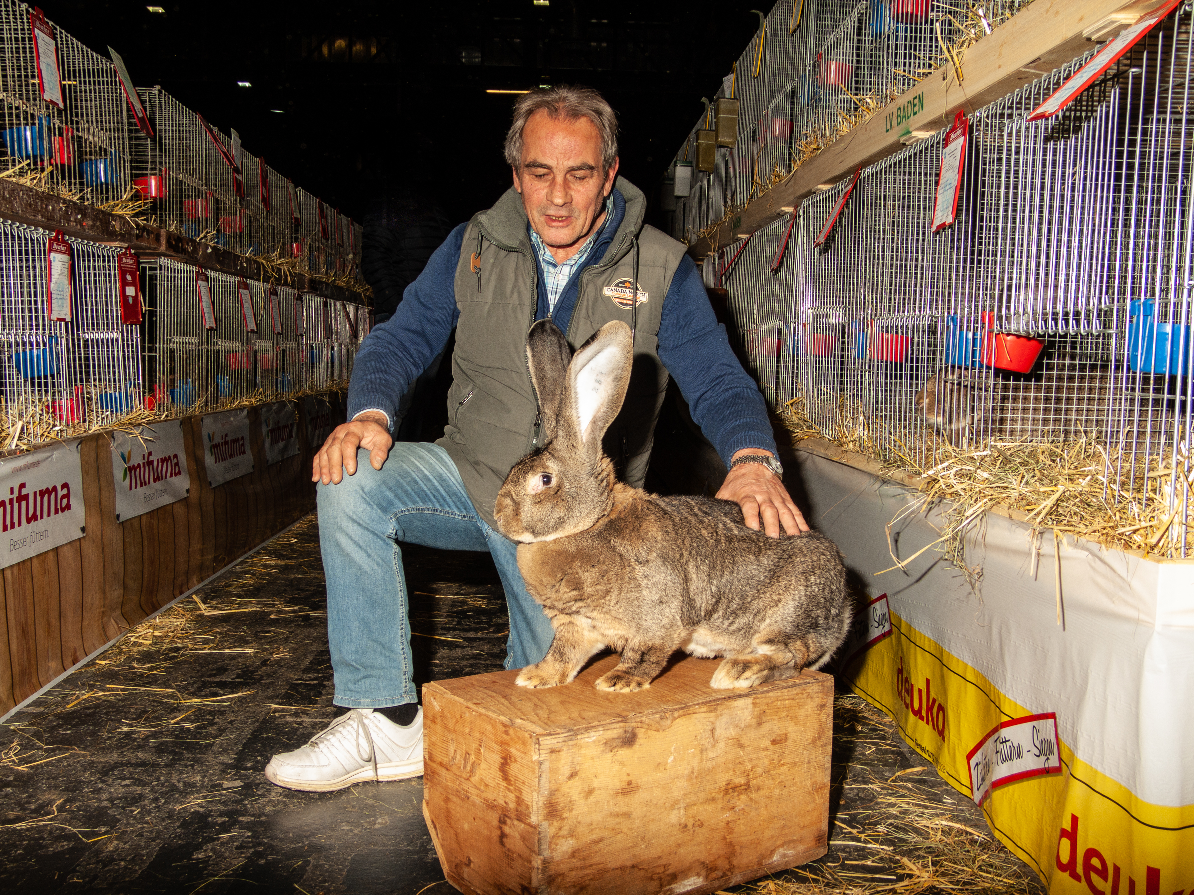 Bernhard Klumpp mit der elf Kilo schweren Alessia, dem schwersten Kaninchen der Ausstellung, Rasse Deutscher Riese