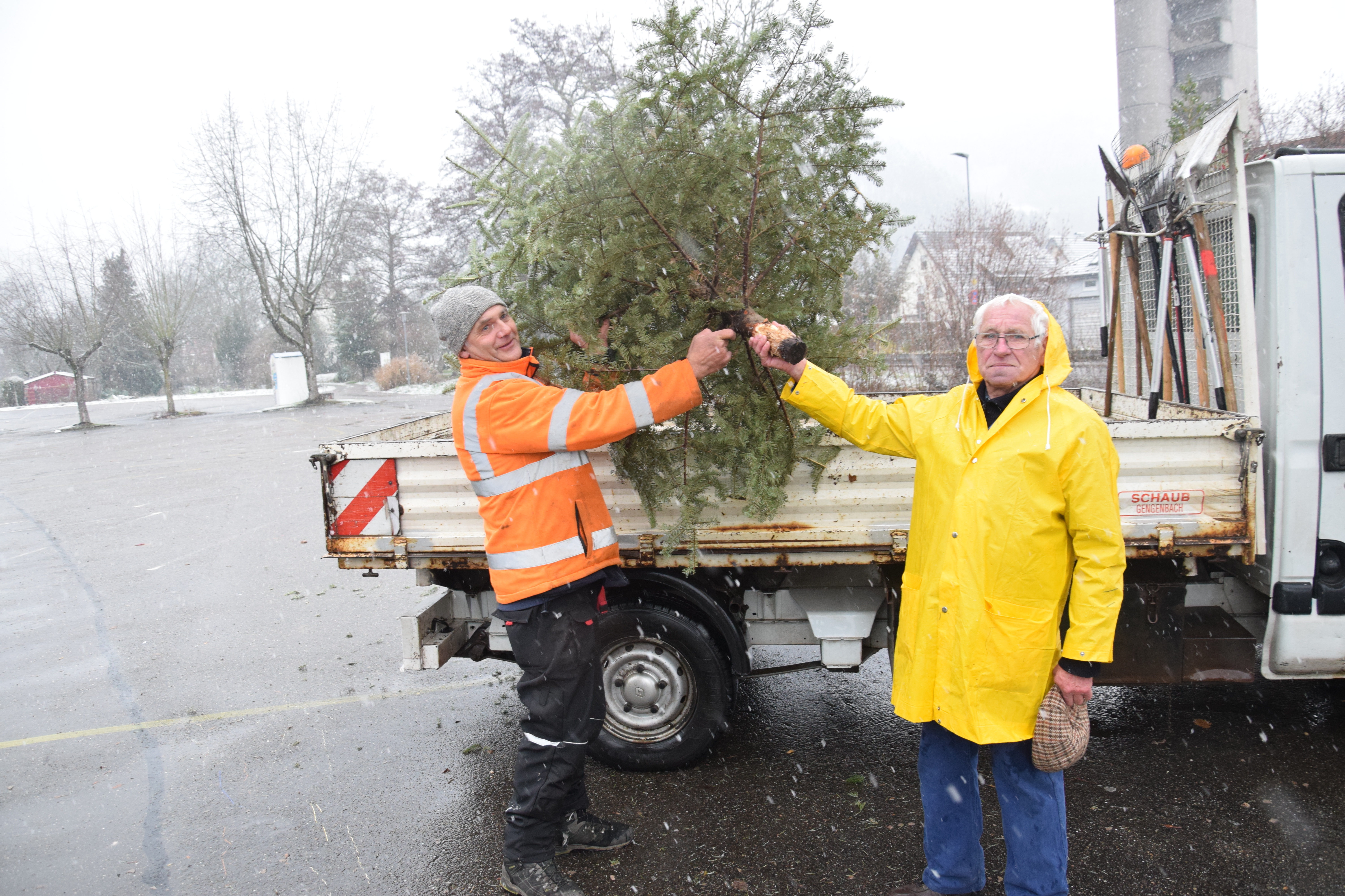 An der Hausacher Weihnachtsbaumsammelstelle