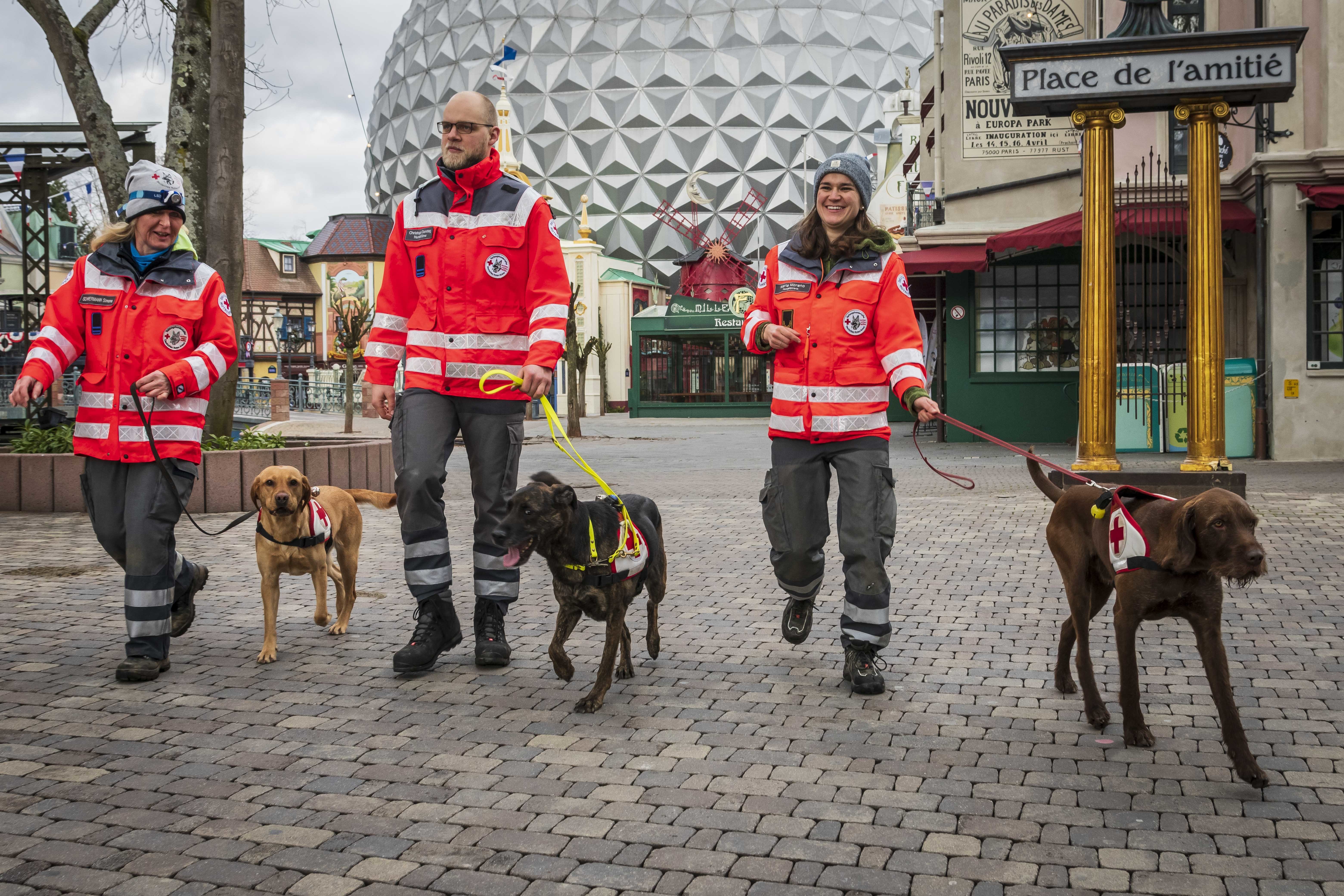 Ob noch in Ausbildung oder schon für den Einsatz geprüft: Die Rettungshunde des DRK übten gestern im Europa-Park unterschiedlichste Einsatzsituationen.
