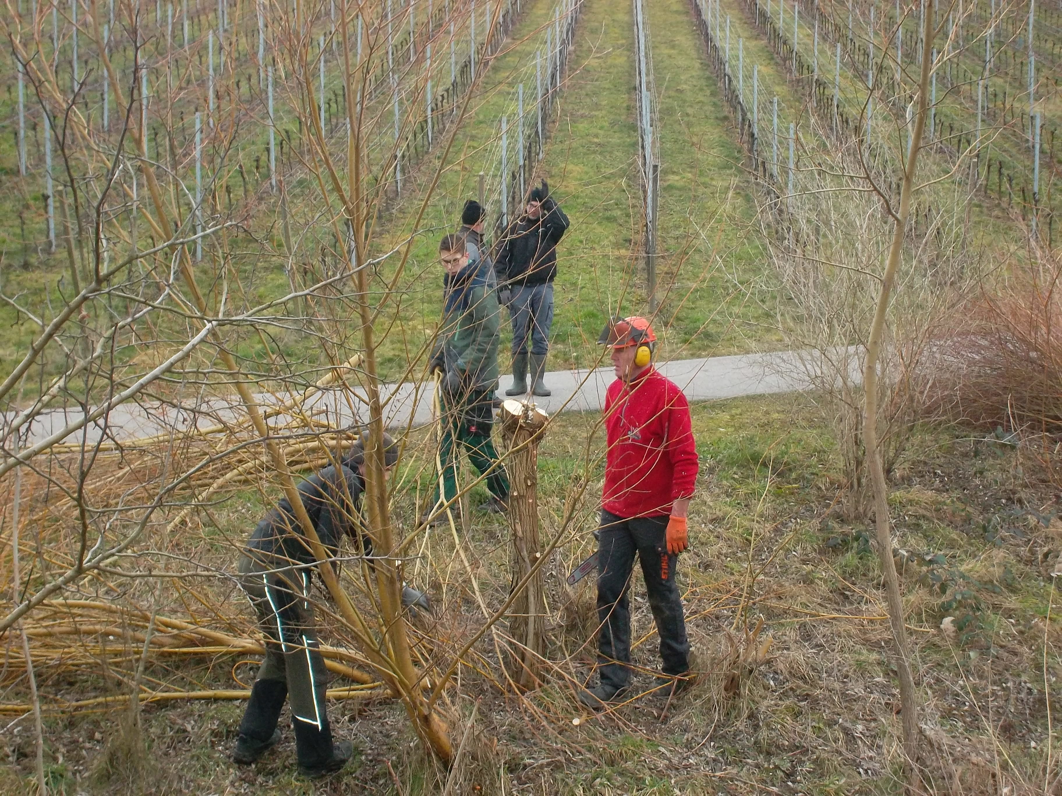 Viele Hände führten in Kappelrodeck zu einem schnellen Ende.