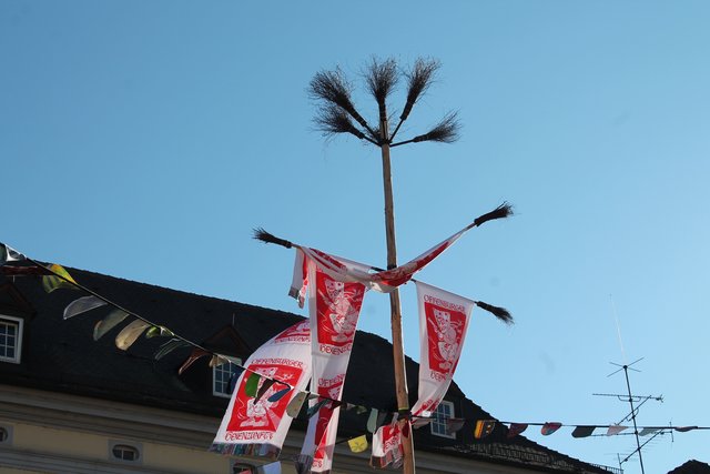 Hexenbaum  | Foto: gro