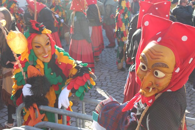 Hansele und Hexensamen | Foto: gro