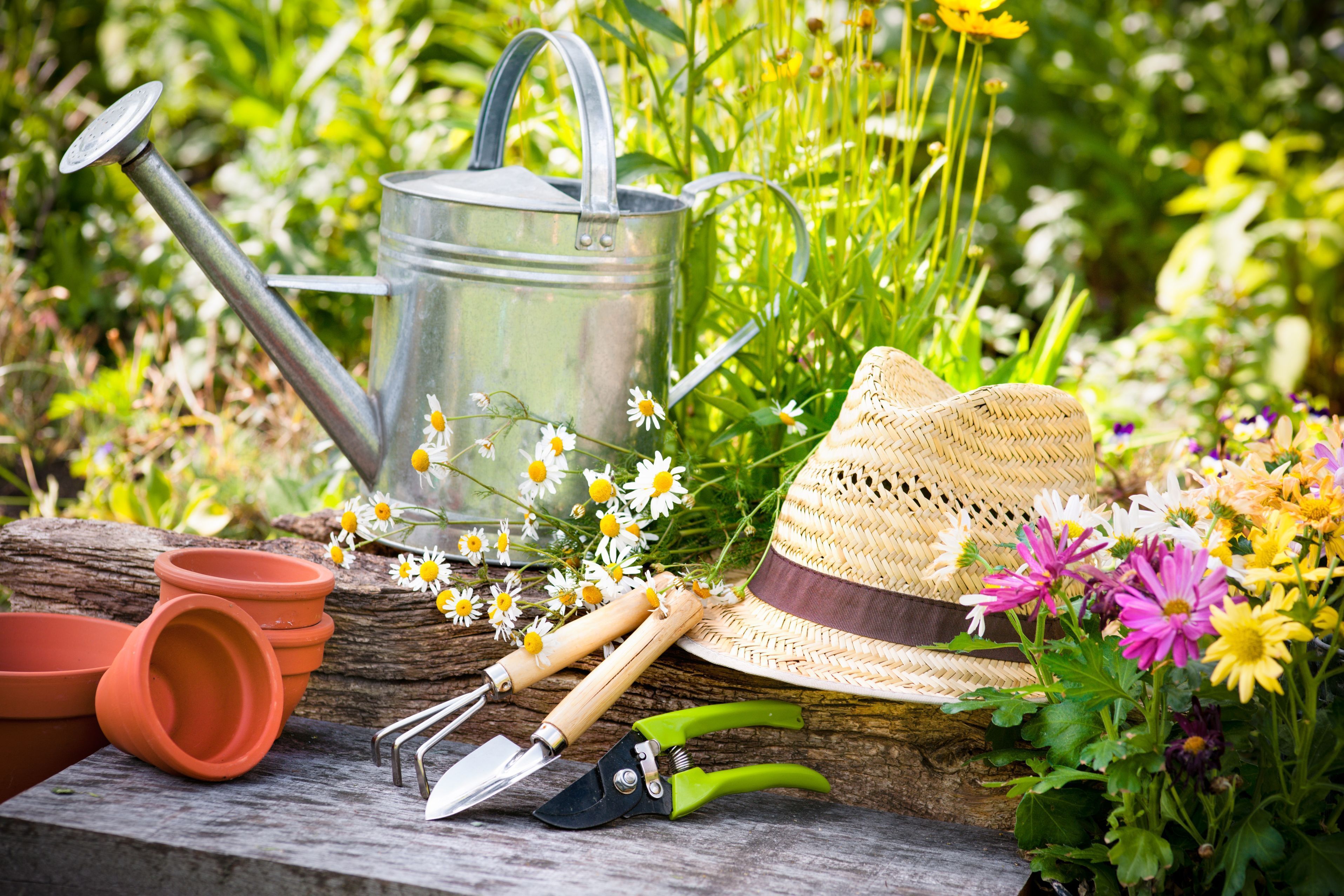 Die Garten- und Lifestylemesse "trendy + cool" in Lahr wird Ende Mai eröffnet.