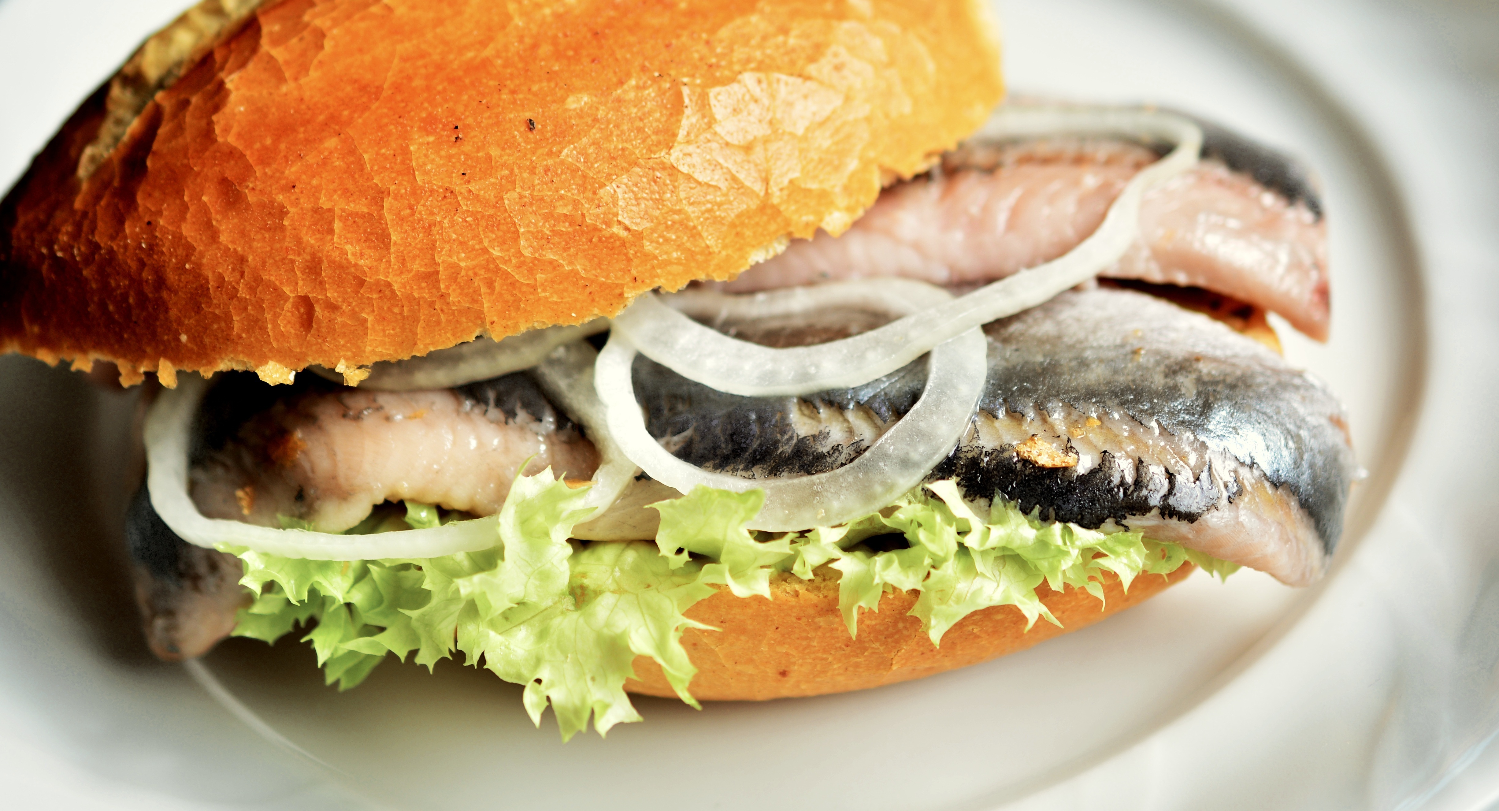 Heringsessen pur: ein Fischbrötchen mit Zwiebeln