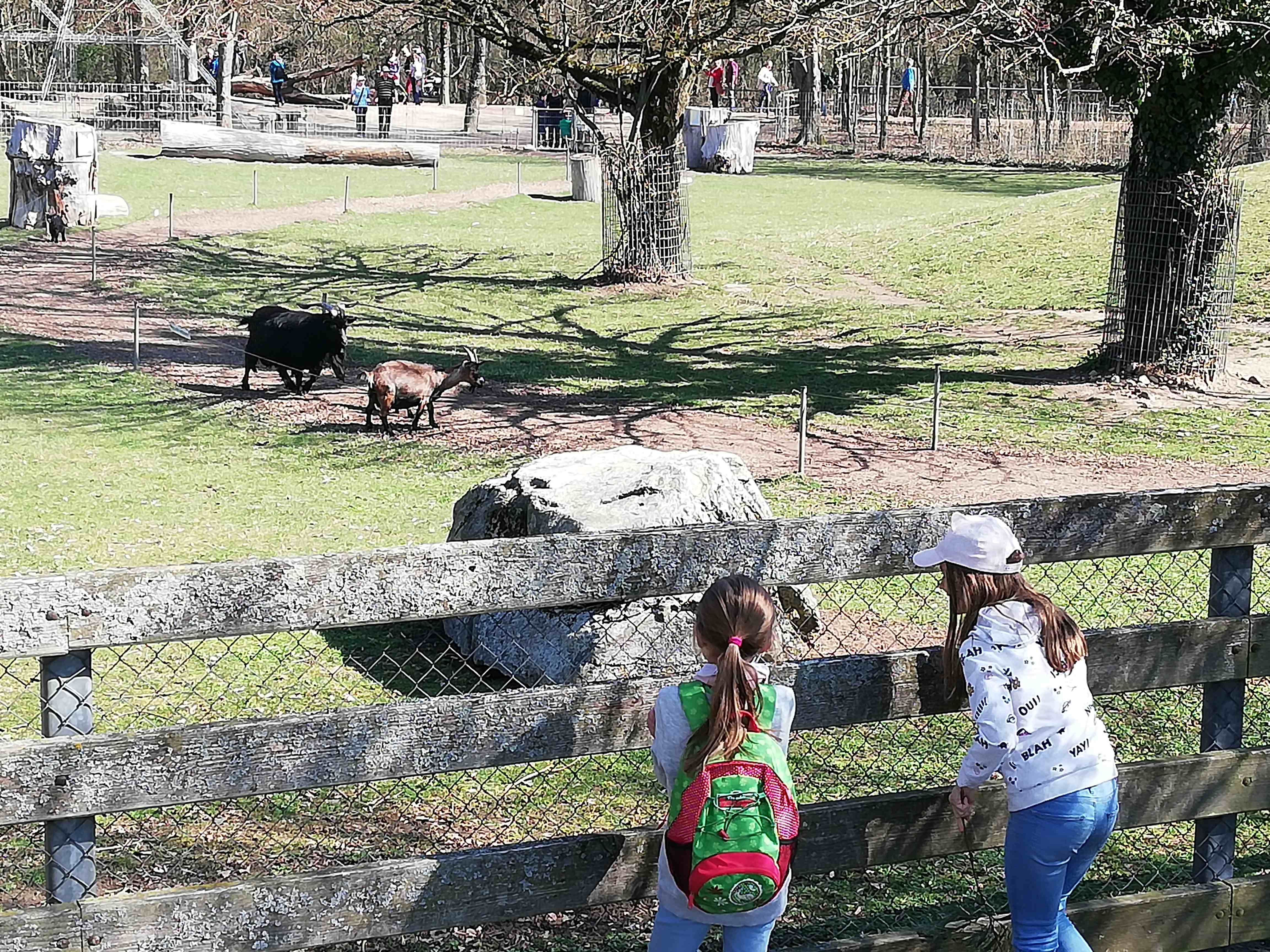 Der Tier- und Erlebnispark Mundenhof zählt zu den größten in Baden-Württemberg und begeistert nicht nur die Kindern.