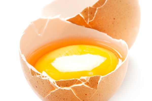 Gerichte mit Hackfleisch, Geflügel oder mit rohen Eiern wie Tiramisu, Zabaione oder Kartoffelsalat mit Mayonnaise tragen sie oftmals in sich: Salmonellen.