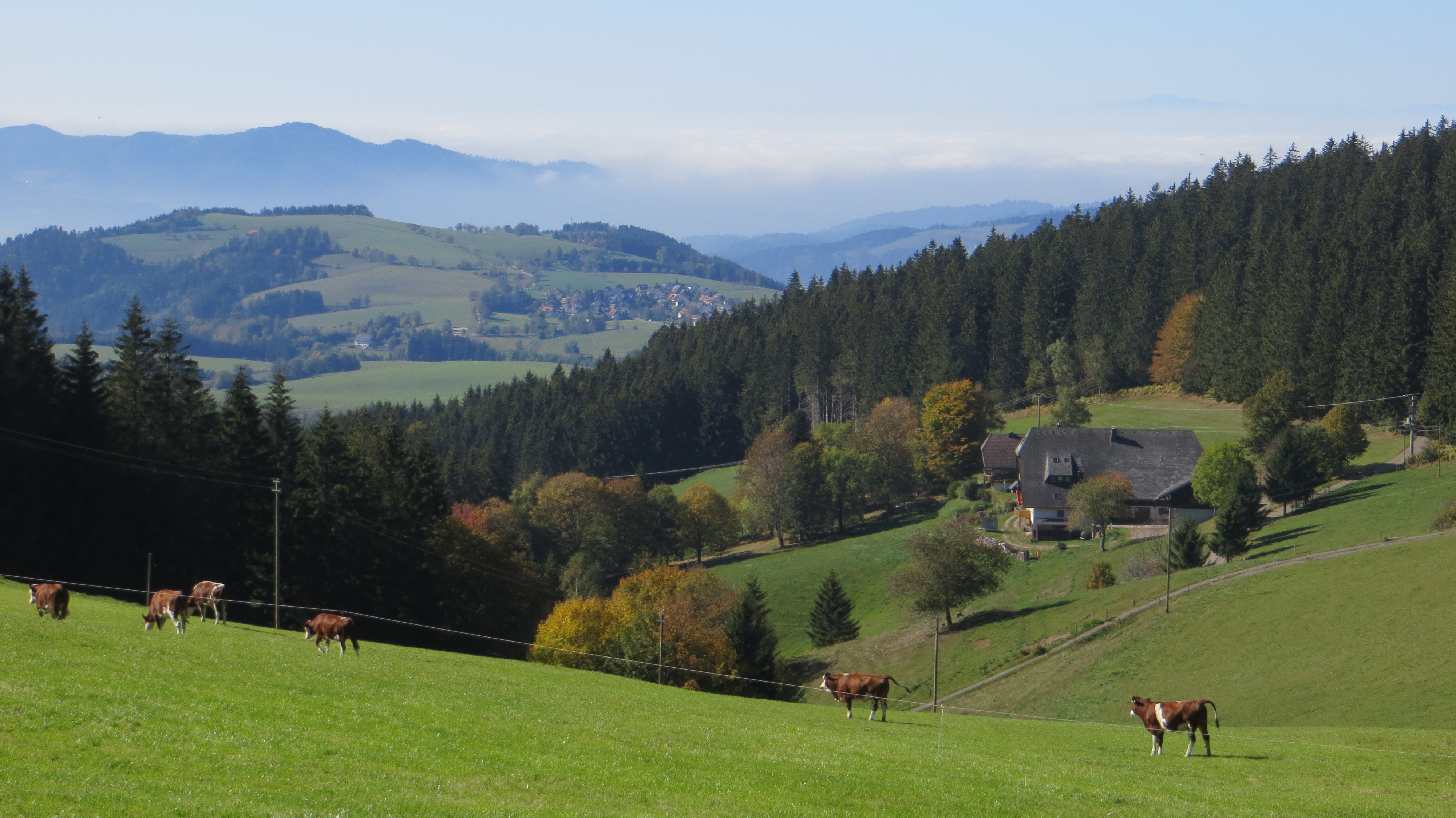 Der Panormaweg macht seinem Namen alle Ehre.