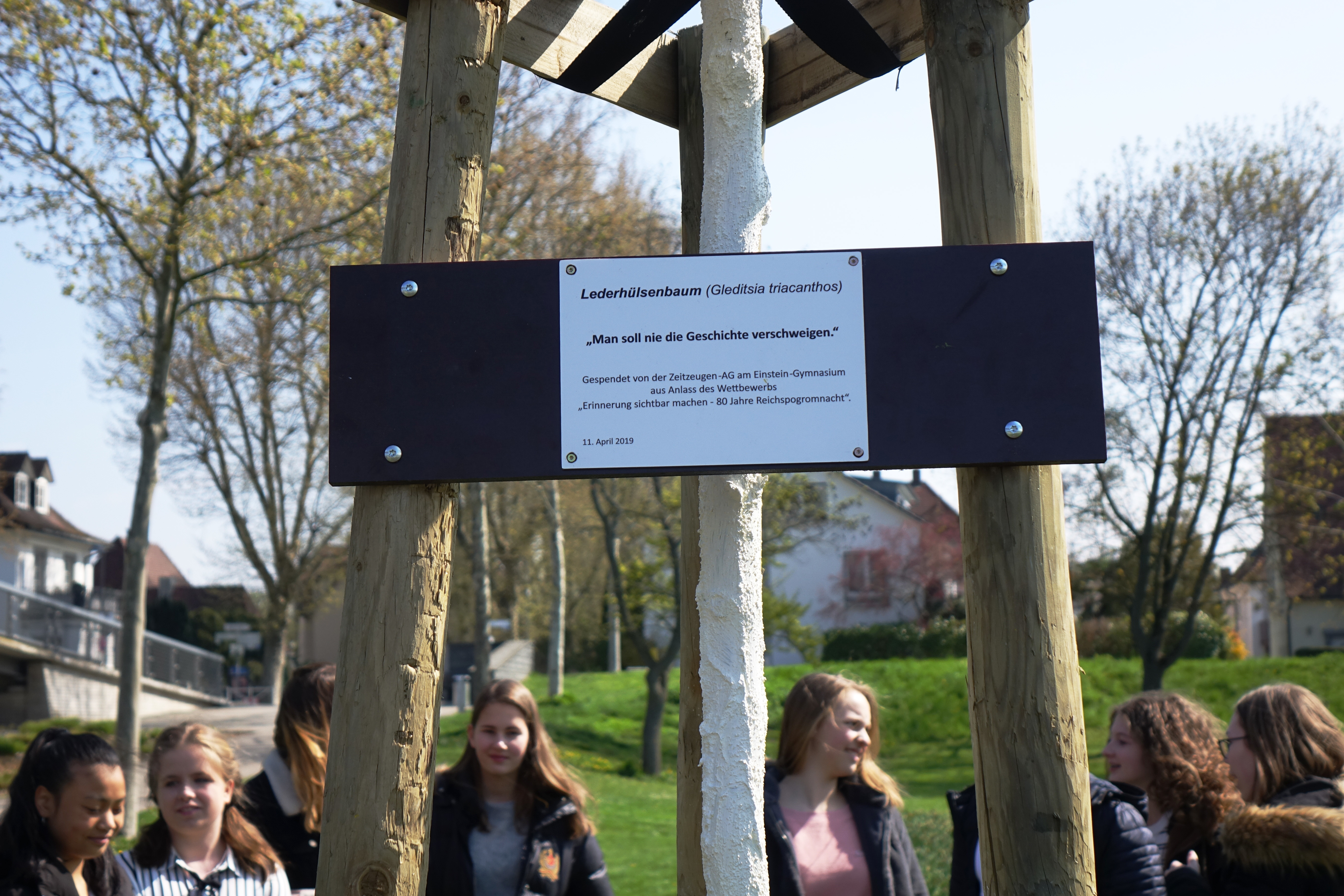 Die beiden neu gepflanzten Bäume stehen direkt neben der Passerelle.
