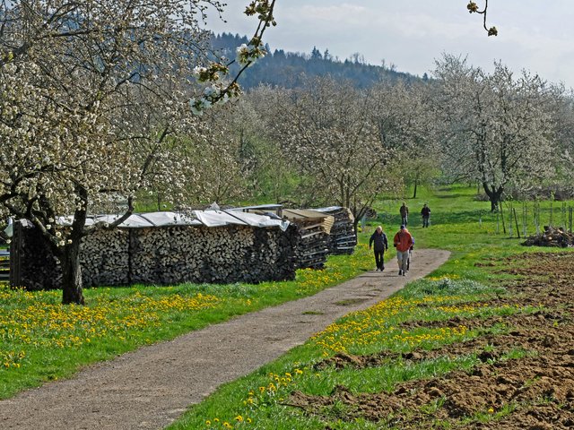 Foto: Alfred Schramm