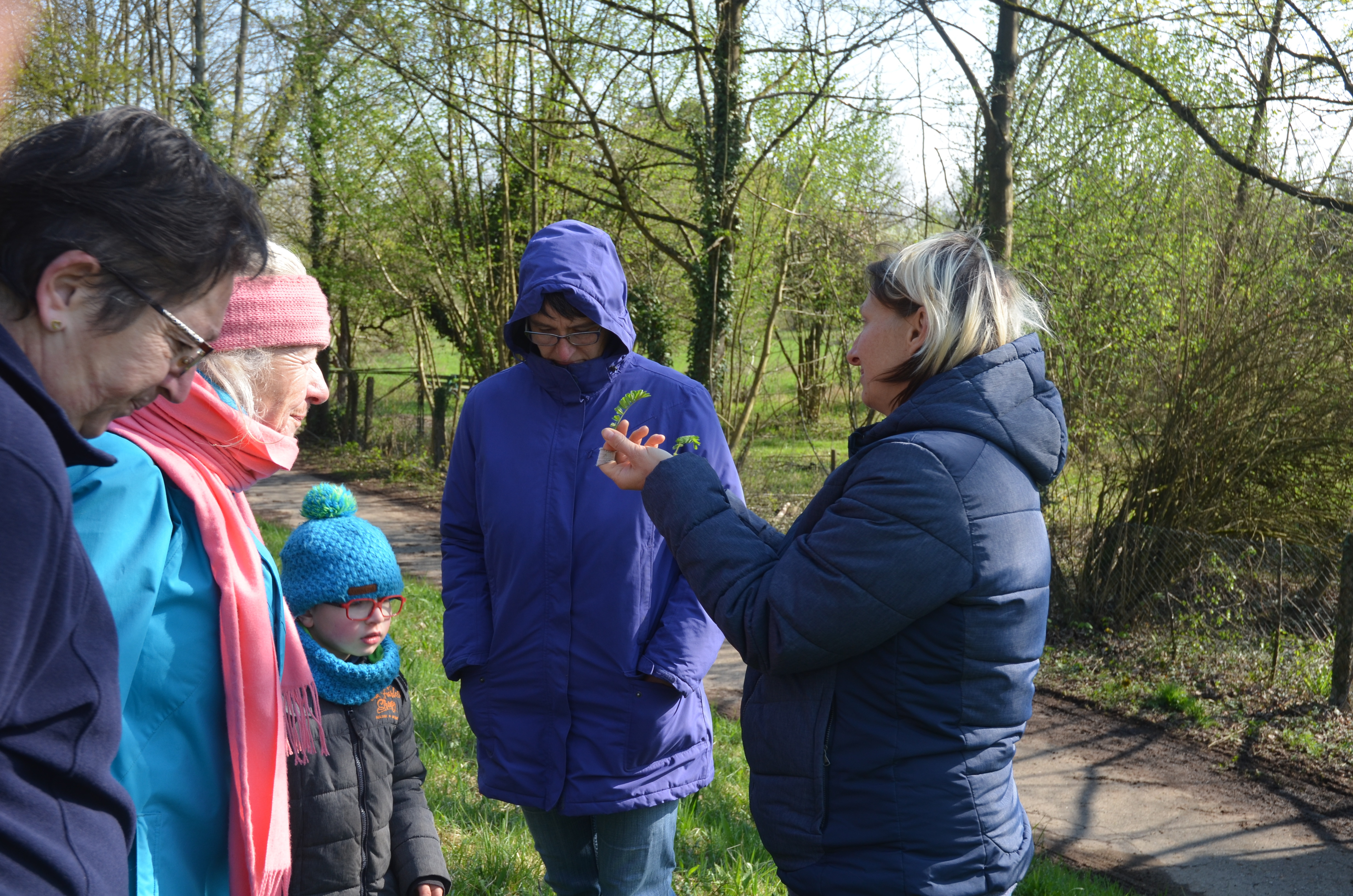 Beim Sammeln der Kräuter erklärt Insa Espig der Gruppe, welche wild wachsenden Pflanzen essbar sind, wo man sie findet und worauf man beim Pflücken besonders achten sollte.