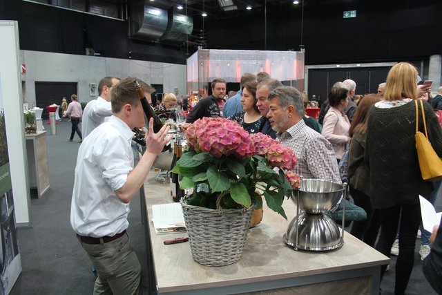 Weingut Andreas Männle | Foto: gro