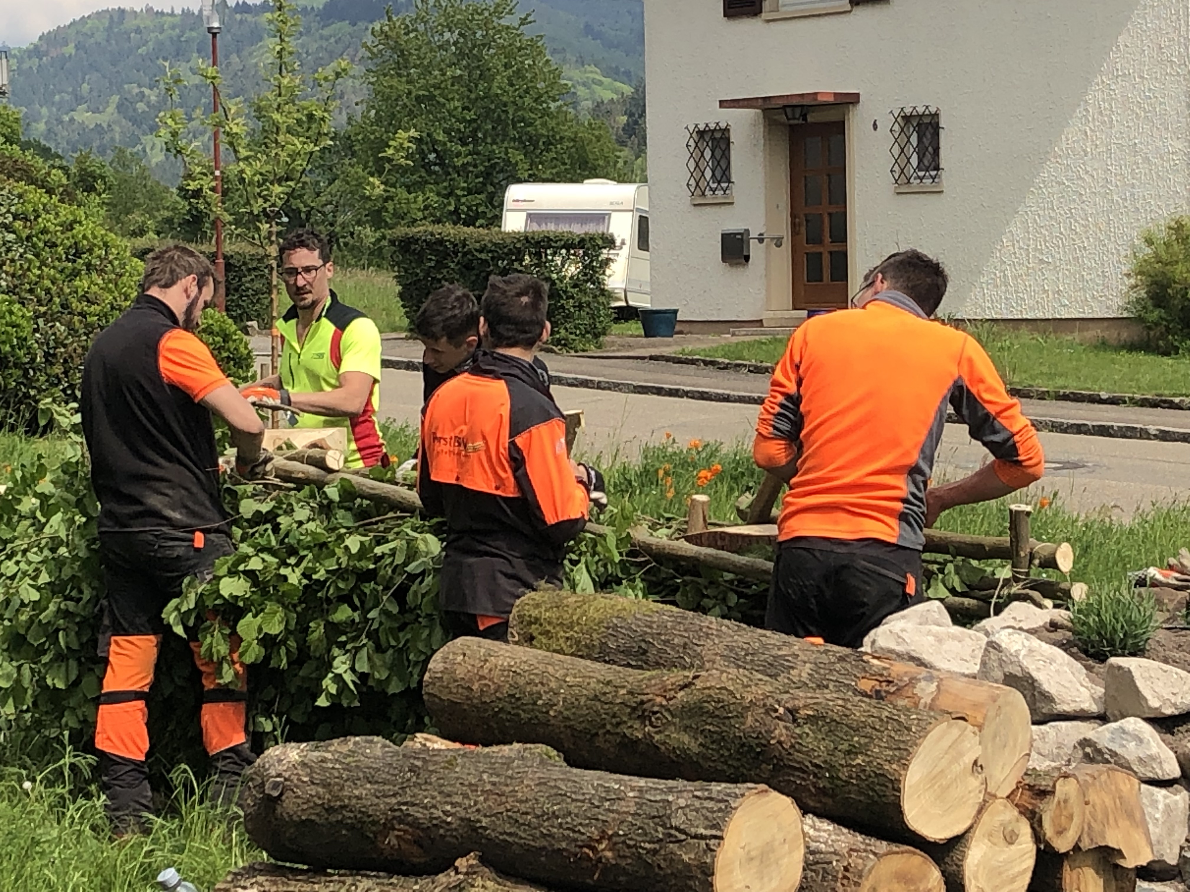 Auszubildende des Mattenhofs haben in Gengenbach an fünf Standorten Bienenwiesen und Insektenunterkünfte der besonderen Art geschaffen.