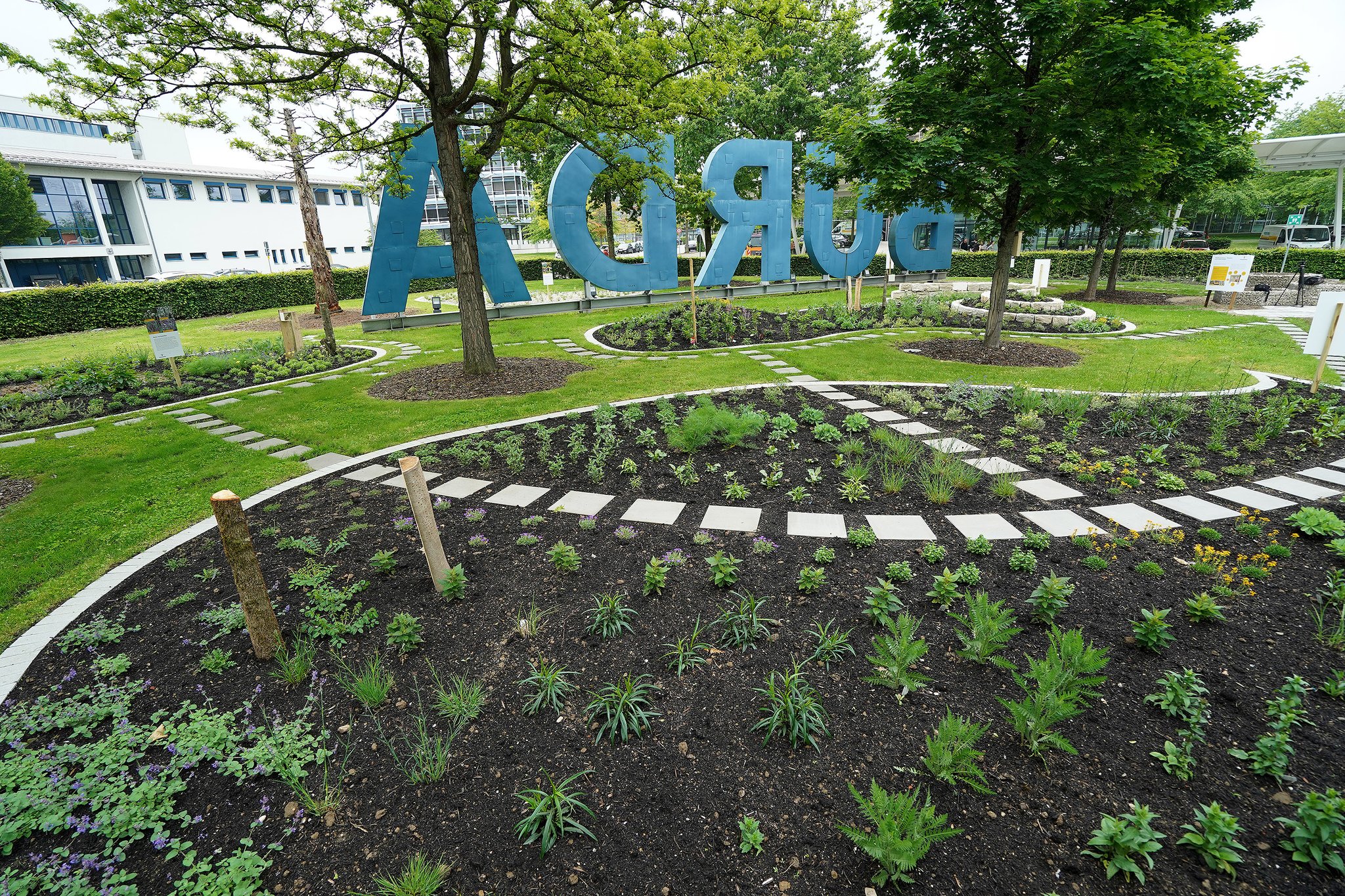 Beebetter Von Hubert Burda Medien Wildbienengarten Am Standort Offenburg Offenburg