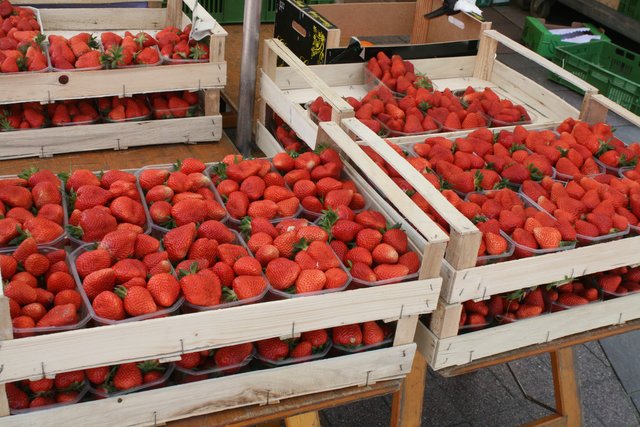 Pur gehen Erdbeeren immer. | Foto: rek