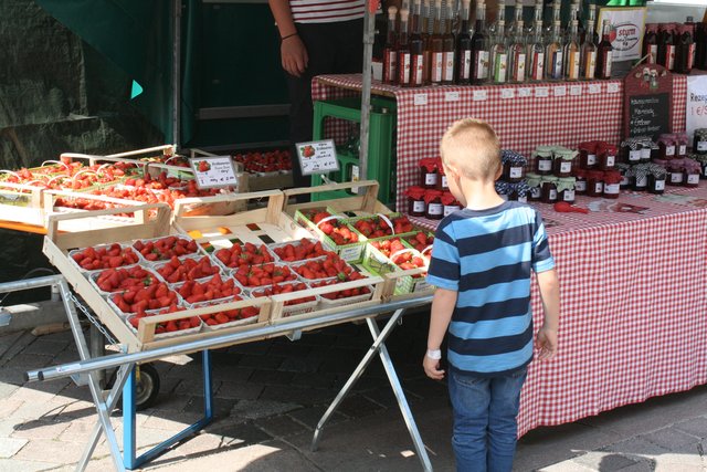 Junger Genießer | Foto: rek