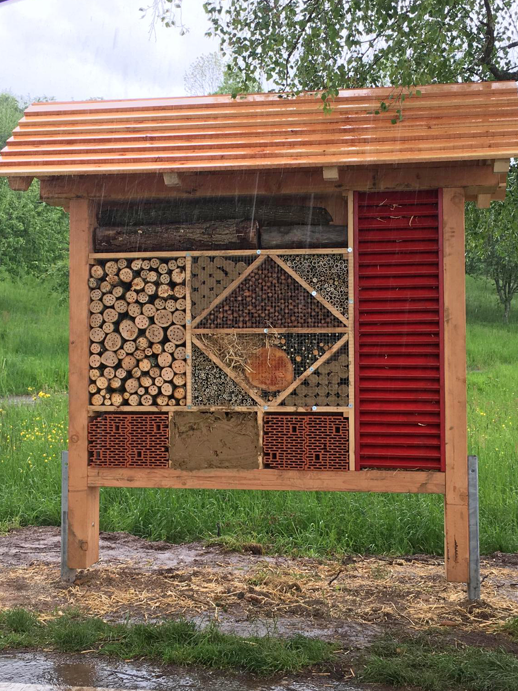 Insektenhotel Kugeleck: Am Kugeleck ebenso wie in Freistett wurden Insektenhotels aufgestellt.
