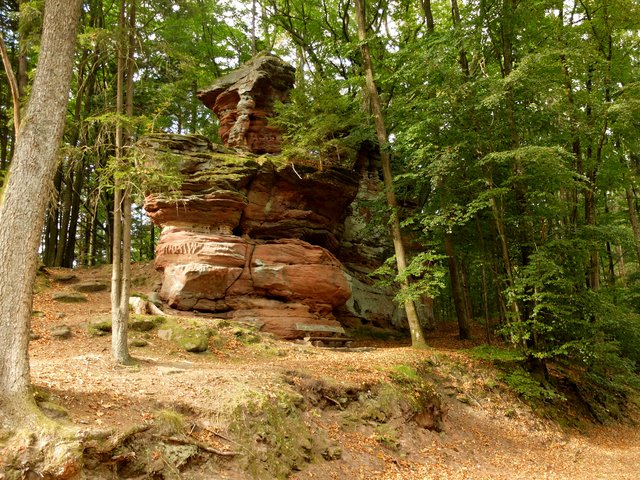 Sandsteinfelsen gibt es in den Nordvogesen zur genüge.  | Foto: Alfred Schramm