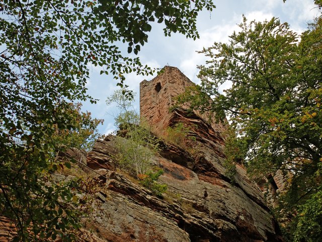 Der Palas von Château du Wasigenstein. Die Burg steht in der Nähe von Obersteinbach. Vom Wanderparkplatz aus ist sie gut zu Fuß zu erreichen.  | Foto: Alfred Schramm