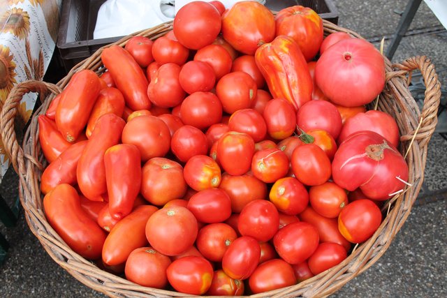 Tomaten wie gemalt | Foto: gro