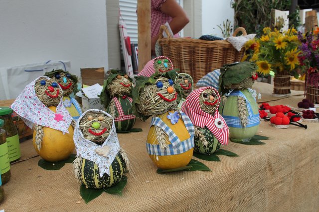 Die Kürbiszeit hat begonnen. | Foto: gro