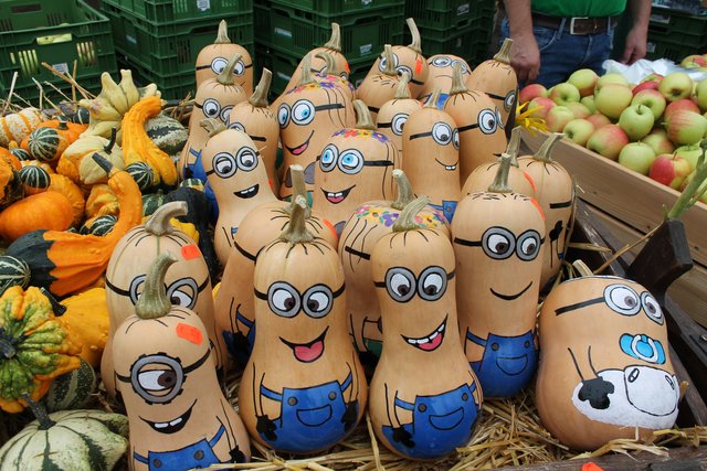Kürbisse als Minons | Foto: gro