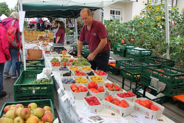 Alles aus dem Renchtal | Foto: gro