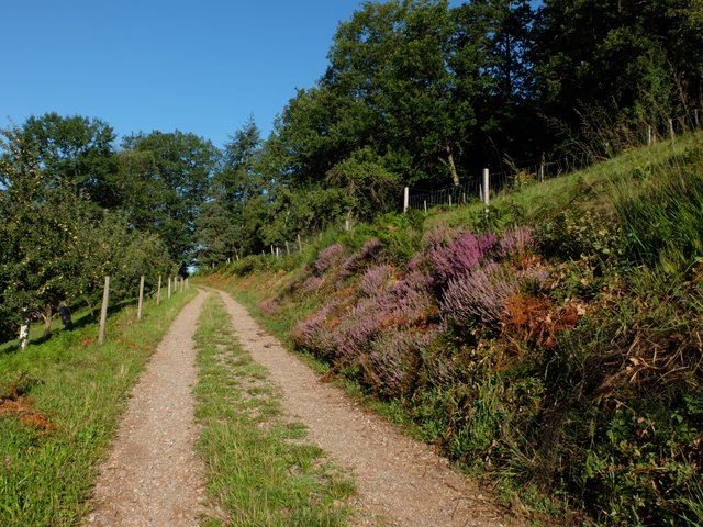 Der Franziskusweg. Er windet sich im Zickzack vom Haus La Verna nach oben zur Portiunkulakapelle, oder umgekehrt. Ein Weg mit verschiedenen Stationen zum Innehalten. | Foto: Alfred Schramm