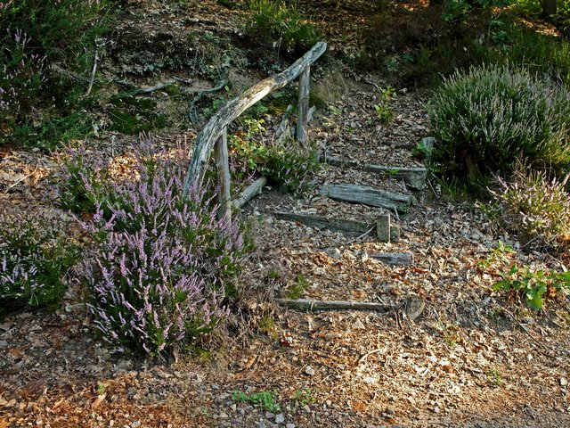 Ein kleines Fotomotiv am Wegesrand. | Foto: Alfred Schramm