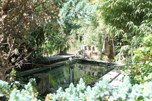 Was heute wie eine Art Teich wirkt, diente ab den 1950er-Jahren - zu Zeiten des Senators - als Swimmingpool.  | Foto: gro