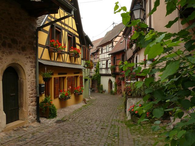 Da macht das Bummeln und Knipsen richtig Spaß! | Foto: Alfred Schramm