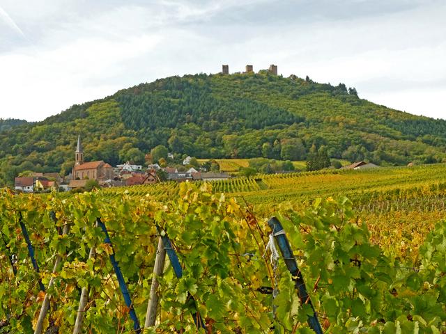 Die „Drei Egsen“ bei der OrtschaftHusseren-les-Châteaux.  | Foto: Alfred Schramm