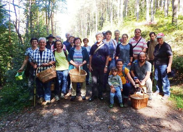 Pilz-Seminar