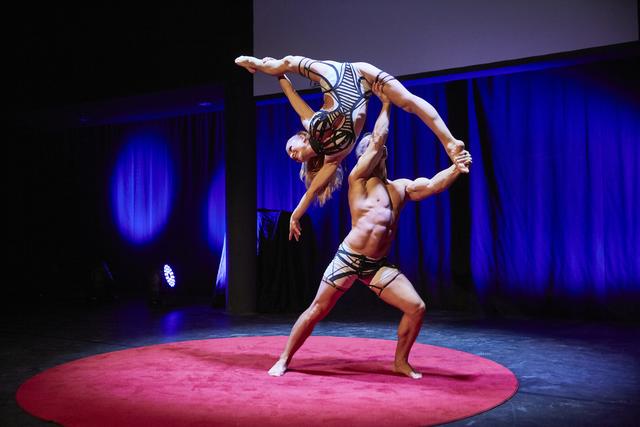 Das Programm bot Showacts aus dem Europapark | Foto: Micheal Bode