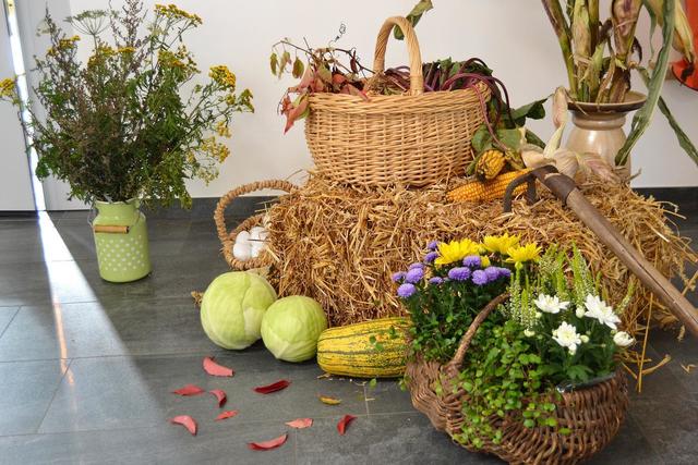 Foto: Ortenaut Fred Neye