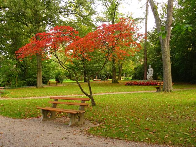 Foto: Ortenautin Iris Hübner