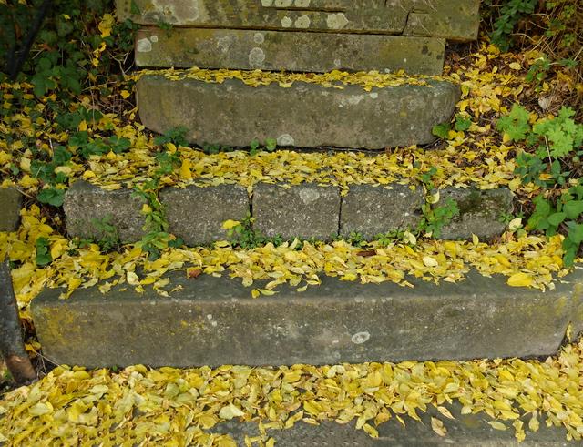 Foto: Ortenaut Carlo el Bombero