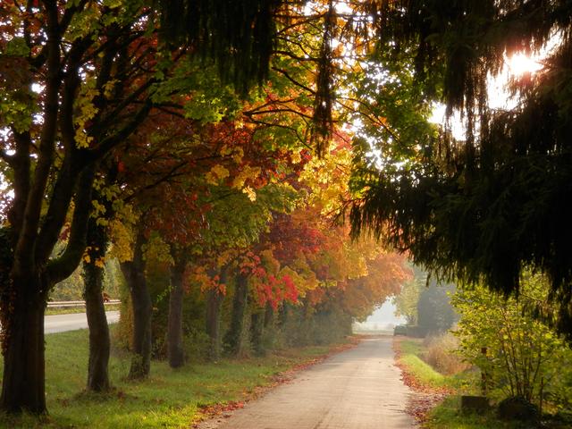 Foto: Ortenaut Jan Wiesenfarth