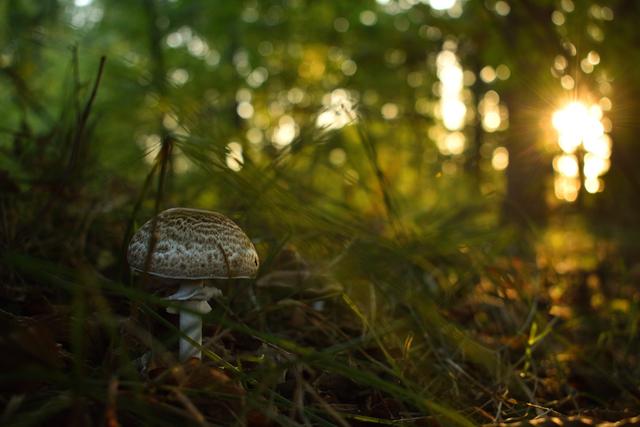 Foto: Ortenaut Philipp Felsen