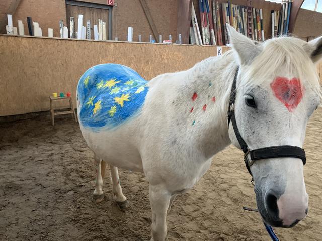 Foto: Isabel Obleser