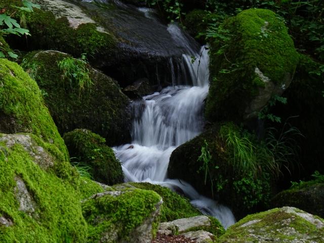 Gaishöll, Sasbachwalden, Bild 4
