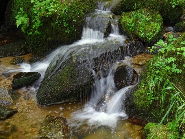 Gaishöll, Sasbachwalden, Bild 1