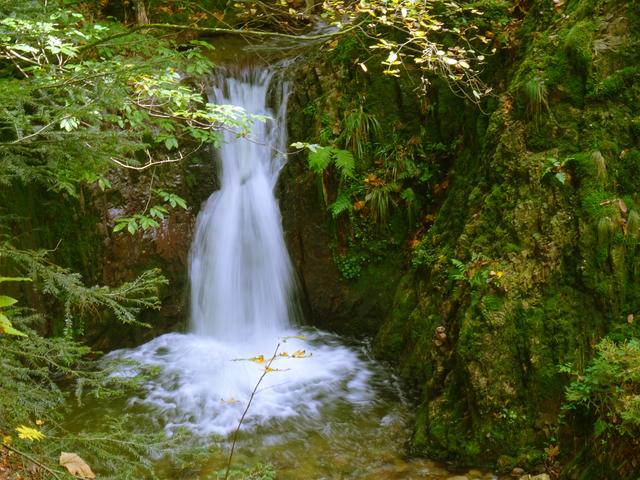 Edelfrauengrab, Ottenhöfen Bild 4
