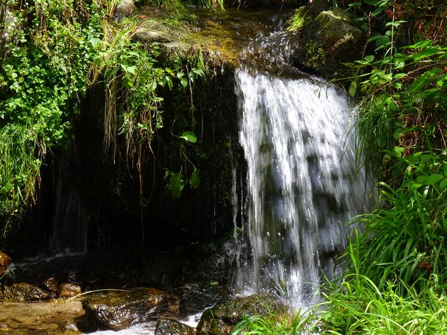 Gaishöll, Sasbachwalden, Bild 2