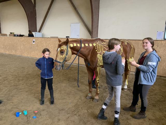 Foto: Isabel Obleser