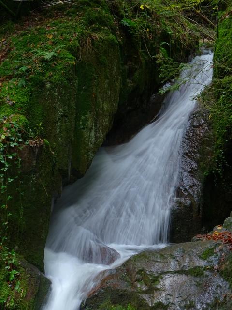 Edelfrauengrab, Ottenhöfen Bild 2